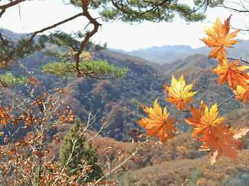 第5頁(yè)